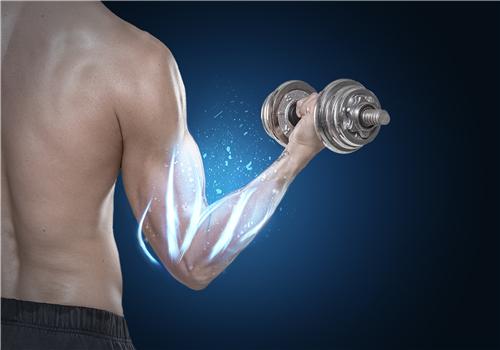 正氮蛋白粉怎么吃 正氮蛋白粉适合什么人