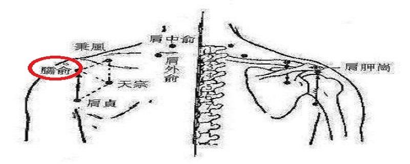 臑俞准确位置图 臑俞准确位置图和作用
