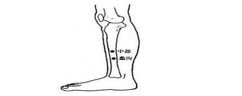 蠡沟准确位置怎么找(蠡沟的准确位置图片和作用)