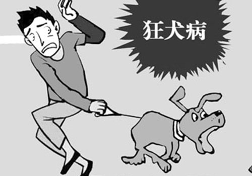 狂犬病的预防措施 狂犬病的预防措施是什么四字