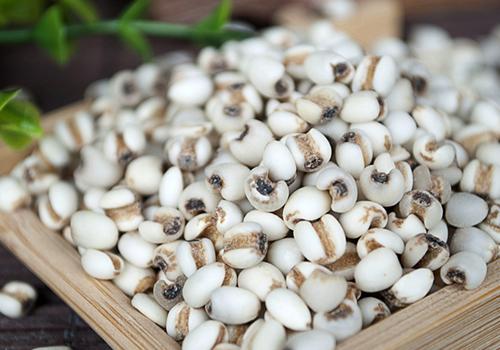 春天吃什么除湿气 春天吃什么除湿热