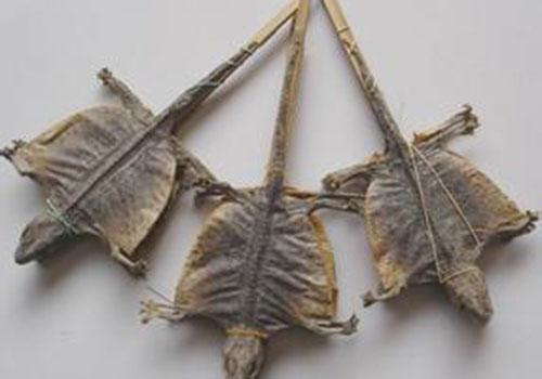 蛤蚧的功效与作用（蛤蚧的功效与作用与主治）