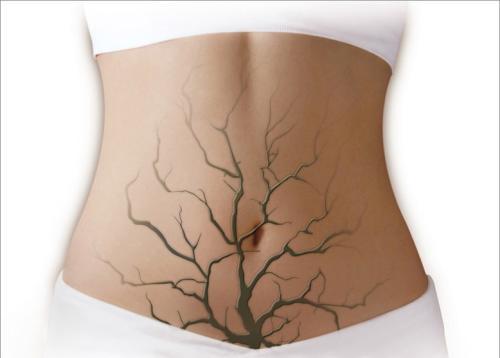 肠道排毒的最好方法（最好的清肠排毒方法）