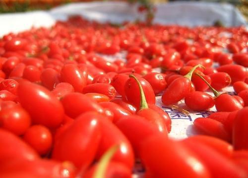 泡水喝的中药有哪些（咽炎泡水喝的中药有哪些）