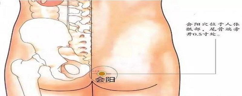 会阳位置图和作用（会阳位置图和作用的准确位置图片）