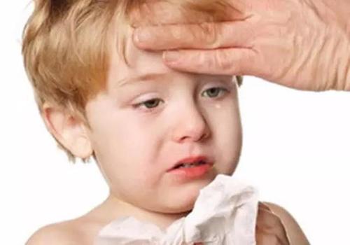 发烧能吃大闸蟹吗(发烧能不能吃大闸蟹)