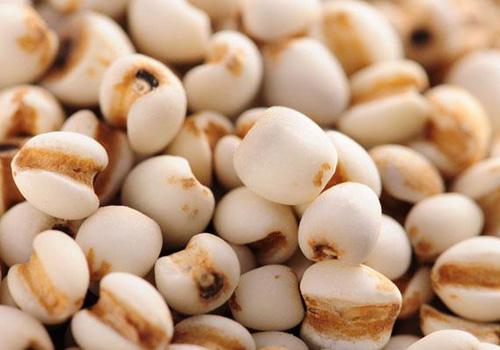 盆腔积液吃什么食物好（盆腔积液吃什么食物好得快）