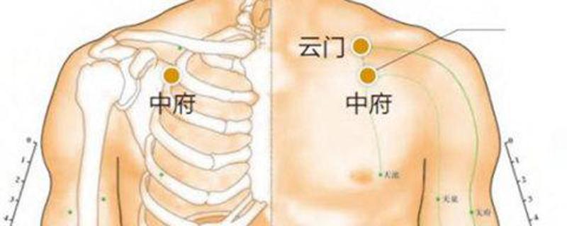 中府的准确位置图和作用 中府的准确位置图和作用按摩方法