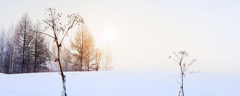 大雪节气阴历是哪天（大雪节气是几月几日）