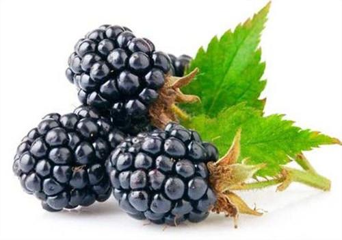 吃什么水果养肾好（吃什么水果对肾好）