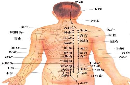 足太阳膀胱经的准确位置图（足太阳膀胱经的准确位置图和作用）