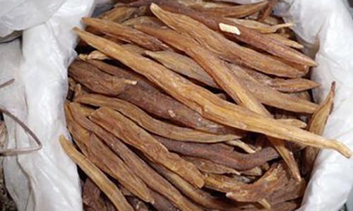 天冬的营养价值（天冬的营养价值及功效）