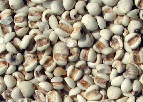 春天怎么祛湿（春天怎样去湿）