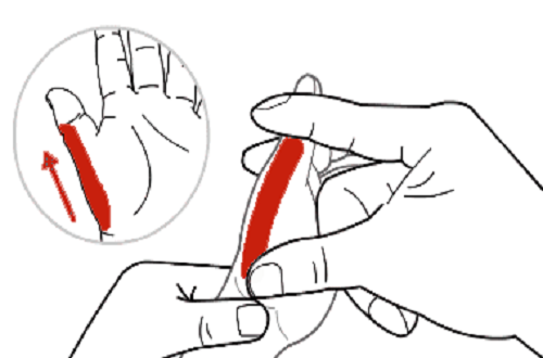 小儿胃经的准确位置图（小儿推拿胃经的准确位置图解）