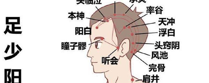 胆经的准确位置图 胆经的准确位置图视频