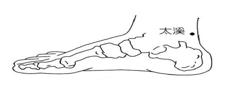太溪怎么找最简单 太溪怎么找最简单视频