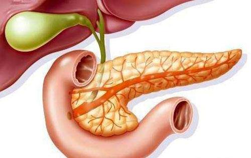 怎么会得急性胰腺炎 怎么会得急性胰腺炎症