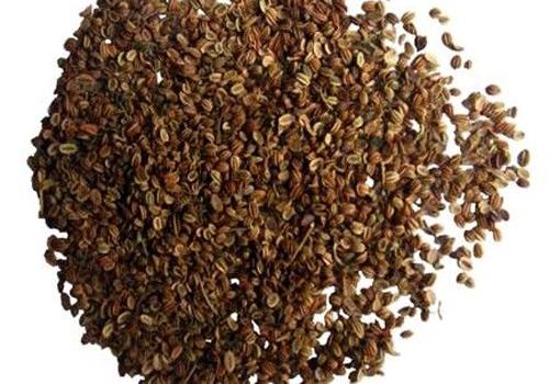 牛皮癣有什么偏方能止痒 有牛皮病癣怎么止痒