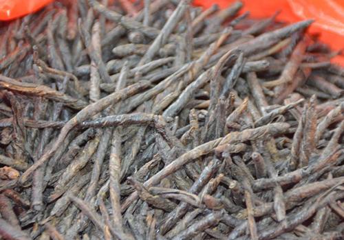 喝苦丁茶会影响睡眠吗 喝苦丁茶能改善睡眠吗