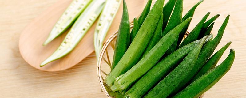 秋葵老了怎么处理最好 秋葵怎么放不会变老