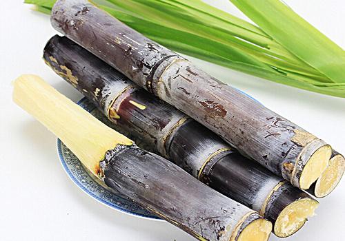 冬季吃什么补血好(冬季补血吃什么食物最好)