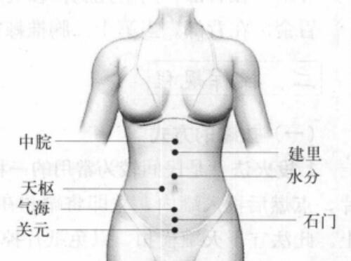 拔罐减肥的位置图 拔罐减肥的位置图腹部视频教程