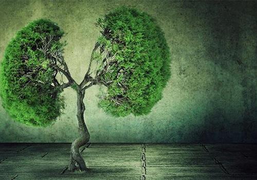 肺癌的早期症状有哪些 肺癌的早期症状有哪些?4大症状要警惕!