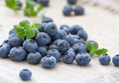 孕妇可以吃蓝莓吗(孕妇可以吃蓝莓吗中期)