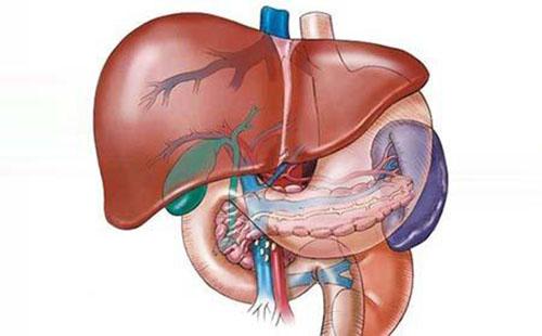 肝硬化饮食注意什么 肝硬化饮食注意什么?