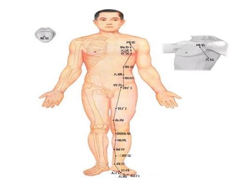 脾经的按摩方向 脾经的按摩方向图