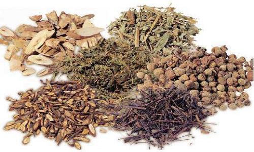 鼻炎吃中药吃得好吗（鼻炎吃中药会好吗）