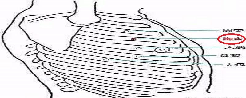 胸乡在什么地方（胸乡的准确位置图和作用的准确位置图片）