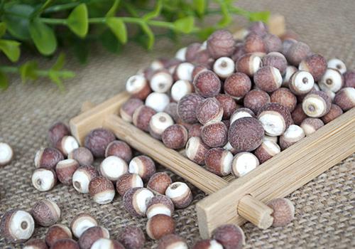 坐月子可以吃芡实吗(坐月子可以吃芡实吗有什么好处)