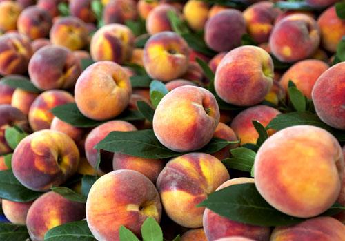 水蜜桃可以放冰箱吗 原来水蜜桃这样保存更好吃