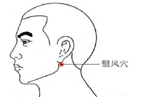 翳风的准确位置图 翳风的准确位置图片和作用