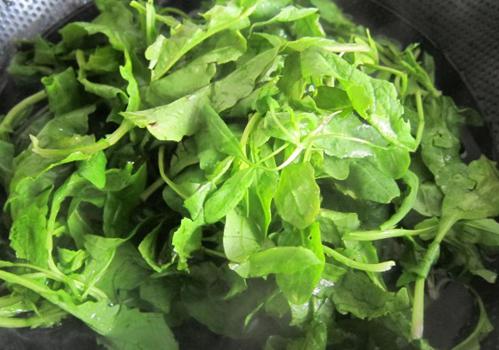 吃了荠菜饺子流产了 什么人吃荠菜饺子会流产