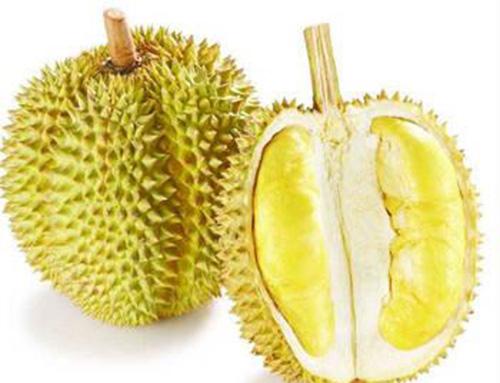 月经期可以吃榴莲吗 月经期可以吃榴莲吗?夏天