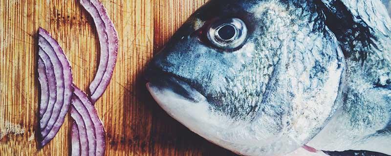 加吉鱼孕妇能吃吗（吉花鱼怀孕能吃嘛）