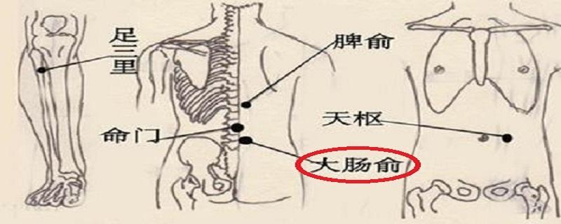 大肠俞的简单寻找（大肠俞怎么找）