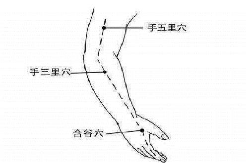 手五里的准确位置图和作用（手五里的准确位置图片图）