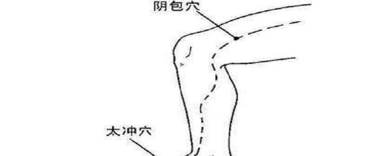 阴包的准确位置怎么找（阴包的定位方法）