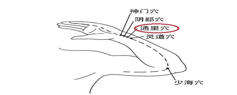 通里的定位和主治（通里主治什么）