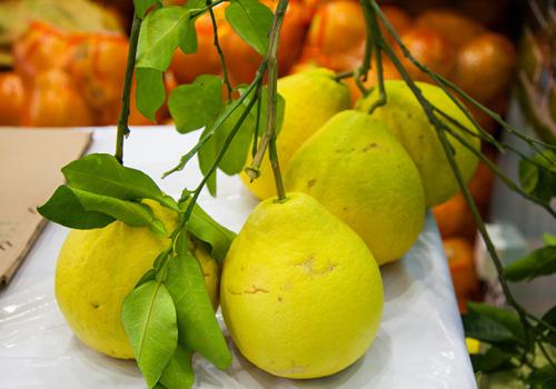 柚子皮可以驱蚊吗（柚子能不能驱蚊）