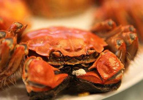 怀孕早期能吃螃蟹吗（怀孕早期能吃螃蟹吗?）