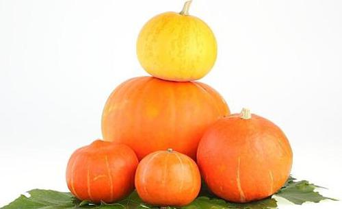 冬季吃什么养胃(冬季吃什么养胃健脾)