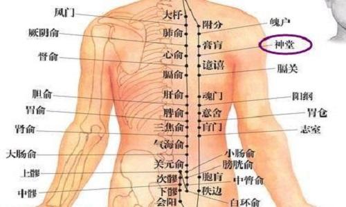 神堂的准确位置图 神堂的准确位置图和作用视频