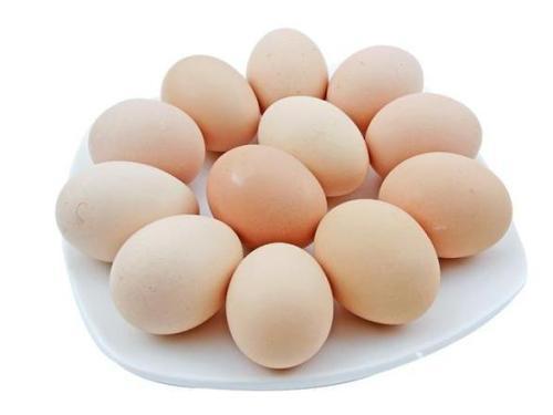 男人补肾吃什么食物效果好（男人补肾吃什么）