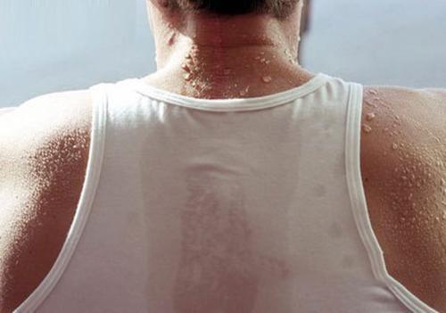 蚊子喜欢叮咬什么人 蚊子喜欢叮咬什么人蚂蚁庄园