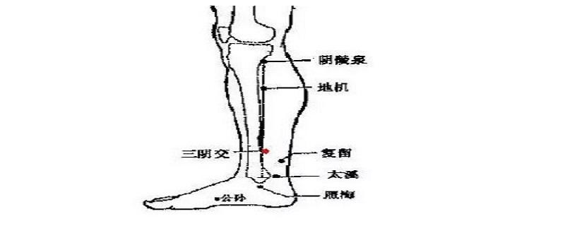 三阴焦位置图怎么按摩（按揉三阴焦位置图和作用）