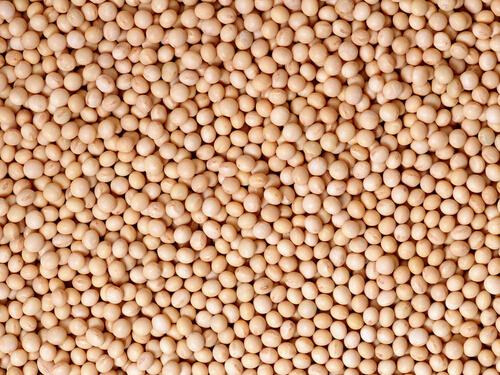 平胸吃什么能大(平胸吃什么才能长大)